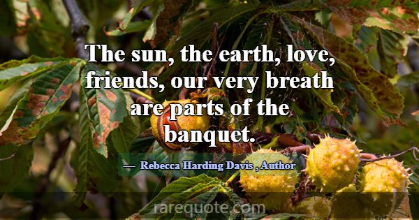 The sun, the earth, love, friends, our very breath... -Rebecca Harding Davis