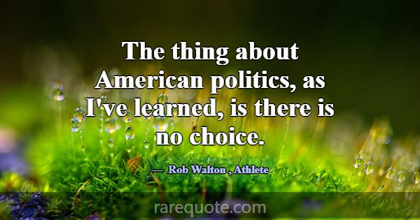 The thing about American politics, as I've learned... -Rob Walton
