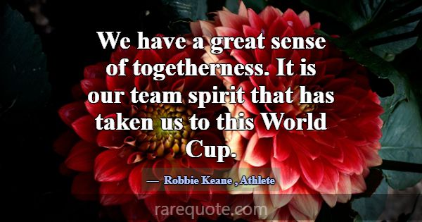 We have a great sense of togetherness. It is our t... -Robbie Keane
