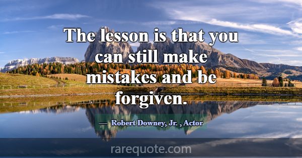 The lesson is that you can still make mistakes and... -Robert Downey, Jr.