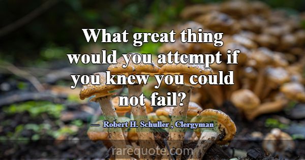 What great thing would you attempt if you knew you... -Robert H. Schuller