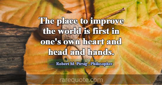 The place to improve the world is first in one's o... -Robert M. Pirsig