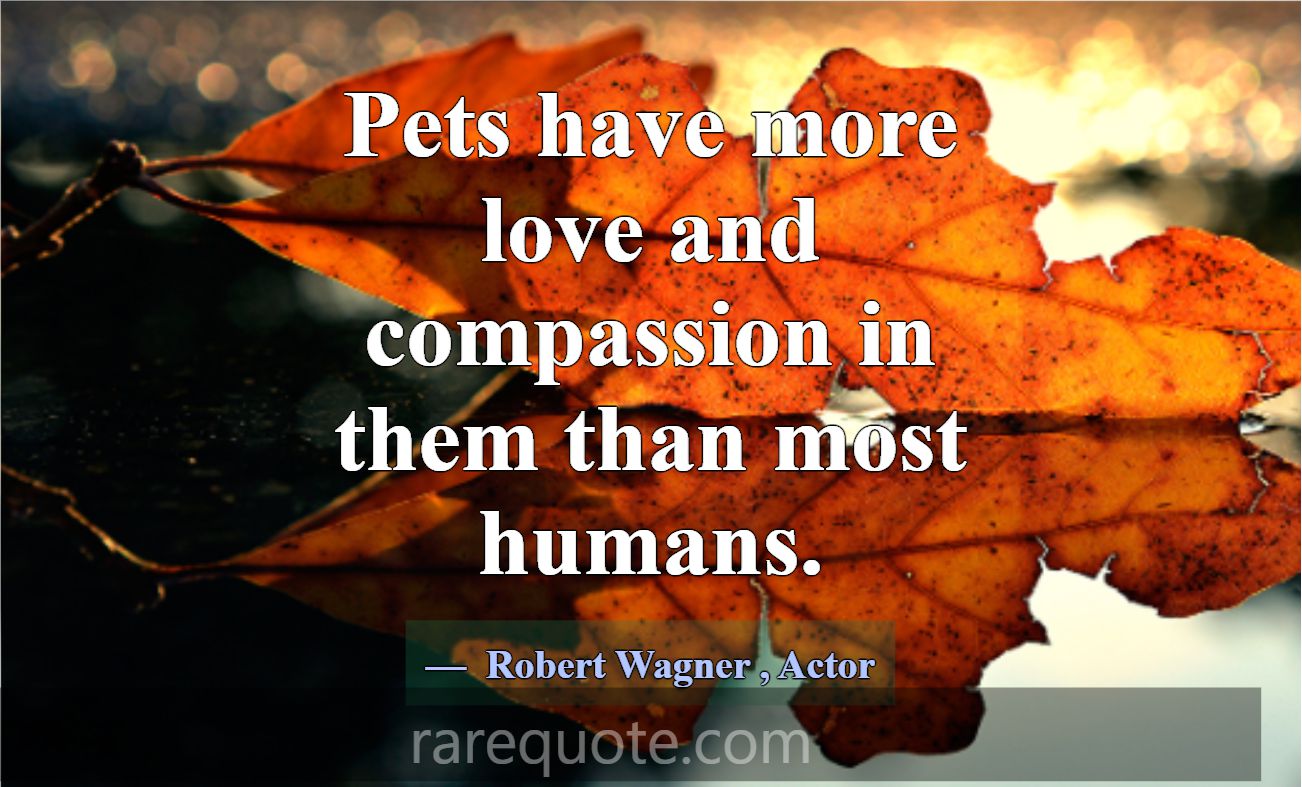 Pets have more love and compassion in them than mo... -Robert Wagner