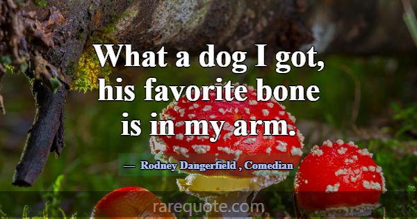 What a dog I got, his favorite bone is in my arm.... -Rodney Dangerfield