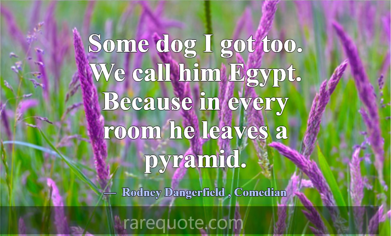 Some dog I got too. We call him Egypt. Because in ... -Rodney Dangerfield