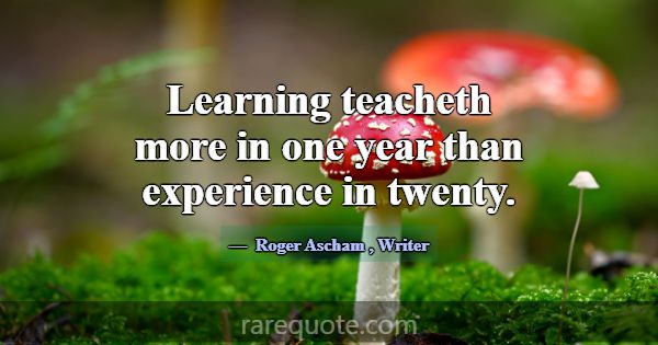 Learning teacheth more in one year than experience... -Roger Ascham