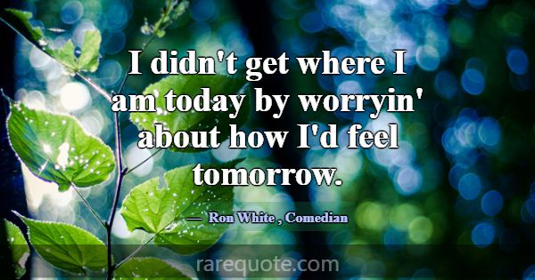 I didn't get where I am today by worryin' about ho... -Ron White