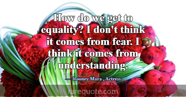 How do we get to equality? I don't think it comes ... -Rooney Mara