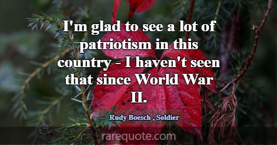 I'm glad to see a lot of patriotism in this countr... -Rudy Boesch