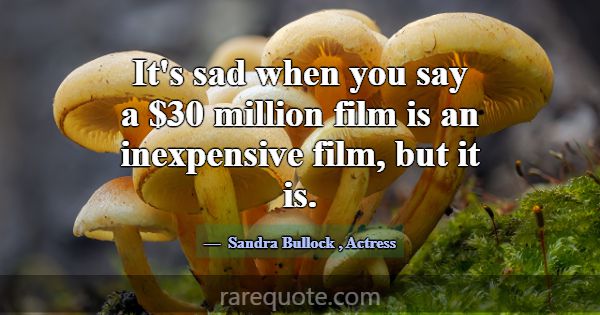 It's sad when you say a $30 million film is an ine... -Sandra Bullock