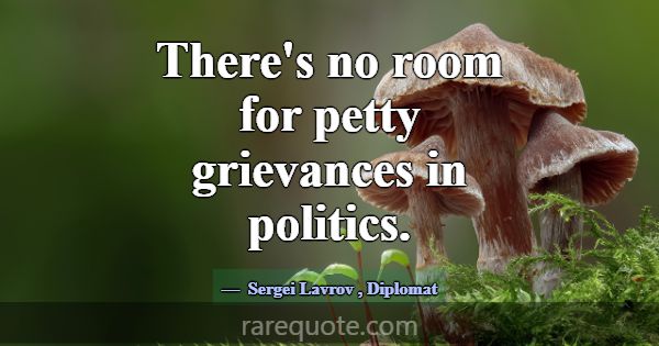 There's no room for petty grievances in politics.... -Sergei Lavrov
