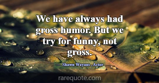 We have always had gross humor. But we try for fun... -Shawn Wayans