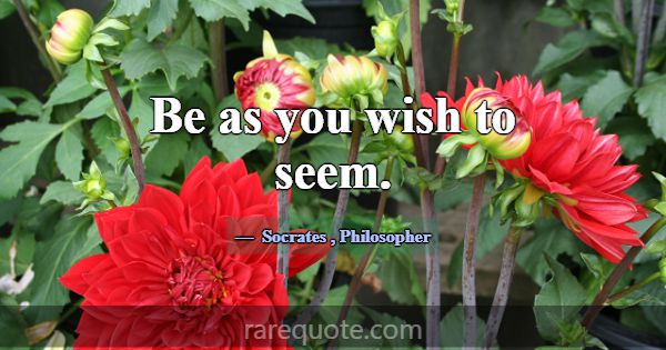 Be as you wish to seem.... -Socrates