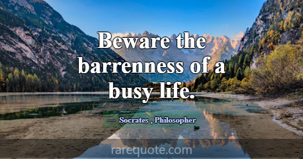 Beware the barrenness of a busy life.... -Socrates