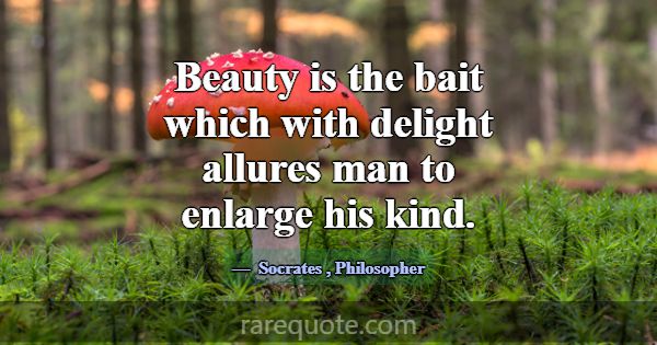 Beauty is the bait which with delight allures man ... -Socrates