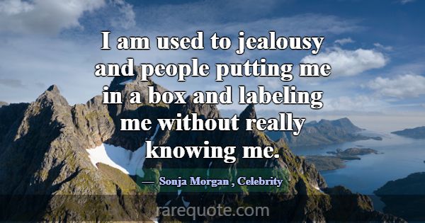 I am used to jealousy and people putting me in a b... -Sonja Morgan