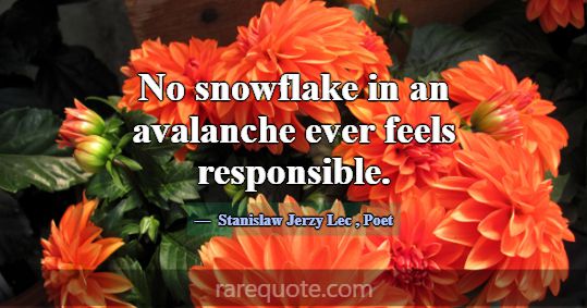 No snowflake in an avalanche ever feels responsibl... -Stanislaw Jerzy Lec