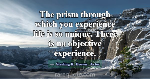 The prism through which you experience life is so ... -Sterling K. Brown