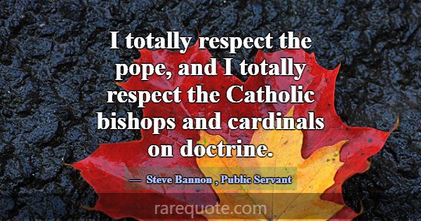 I totally respect the pope, and I totally respect ... -Steve Bannon
