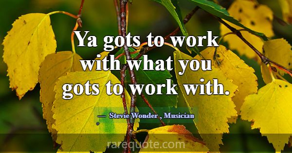 Ya gots to work with what you gots to work with.... -Stevie Wonder