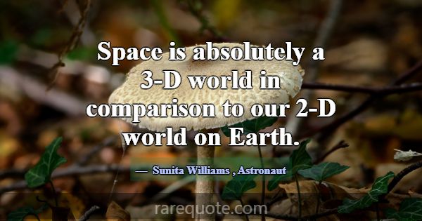 Space is absolutely a 3-D world in comparison to o... -Sunita Williams