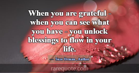 When you are grateful - when you can see what you ... -Suze Orman