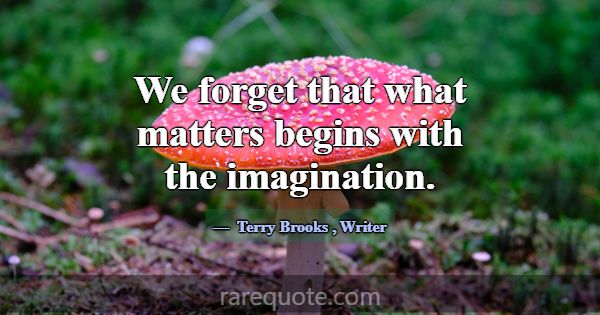 We forget that what matters begins with the imagin... -Terry Brooks