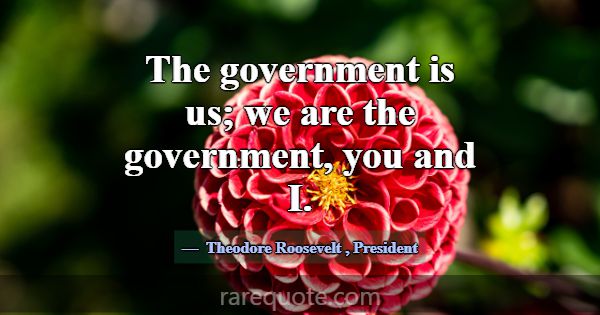The government is us; we are the government, you a... -Theodore Roosevelt