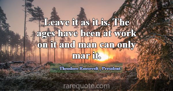 Leave it as it is. The ages have been at work on i... -Theodore Roosevelt