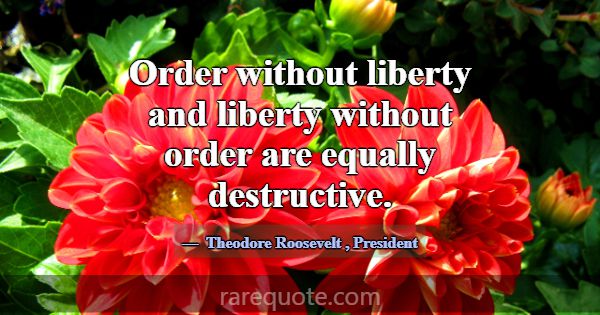 Order without liberty and liberty without order ar... -Theodore Roosevelt
