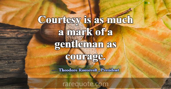 Courtesy is as much a mark of a gentleman as coura... -Theodore Roosevelt