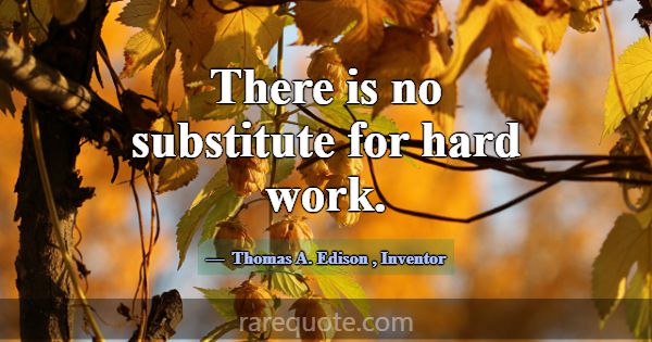 There is no substitute for hard work.... -Thomas A. Edison