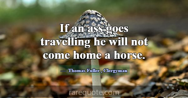 If an ass goes travelling he will not come home a ... -Thomas Fuller
