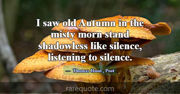 I saw old Autumn in the misty morn stand shadowles... -Thomas Hood