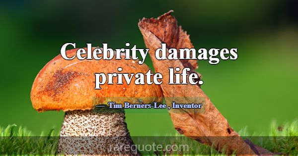 Celebrity damages private life.... -Tim Berners-Lee