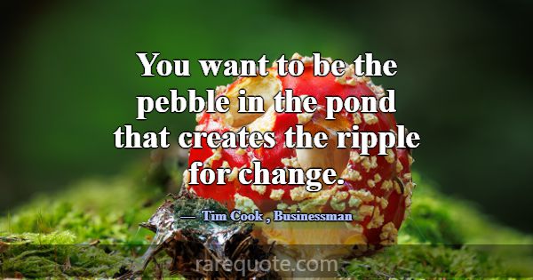 You want to be the pebble in the pond that creates... -Tim Cook