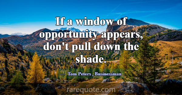 If a window of opportunity appears, don't pull dow... -Tom Peters