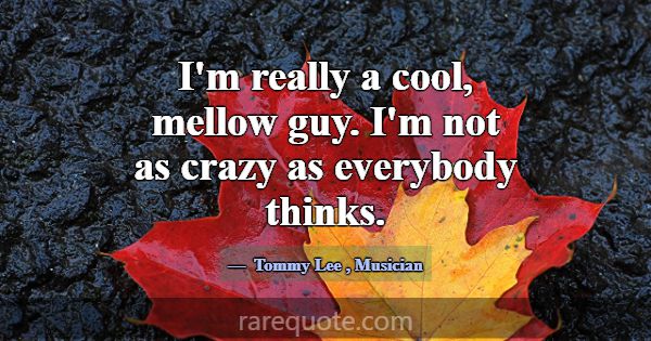 I'm really a cool, mellow guy. I'm not as crazy as... -Tommy Lee