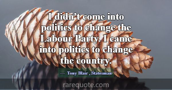 I didn't come into politics to change the Labour P... -Tony Blair