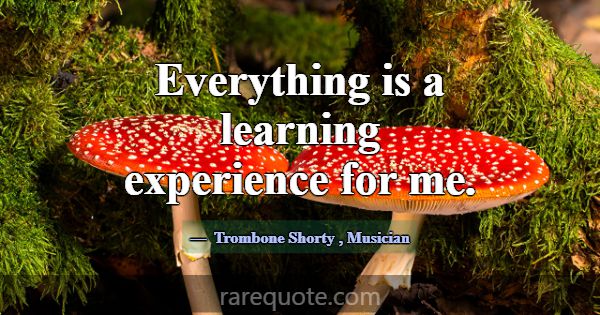Everything is a learning experience for me.... -Trombone Shorty