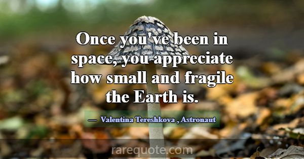Once you've been in space, you appreciate how smal... -Valentina Tereshkova