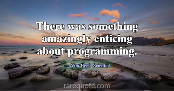 There was something amazingly enticing about progr... -Vint Cerf