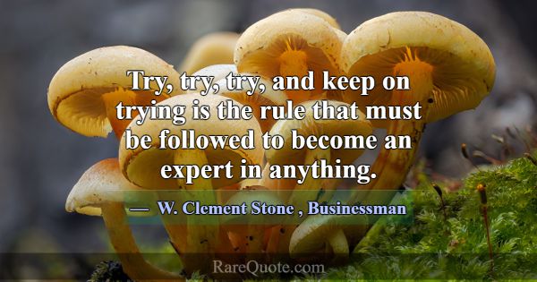 Try, try, try, and keep on trying is the rule that... -W. Clement Stone