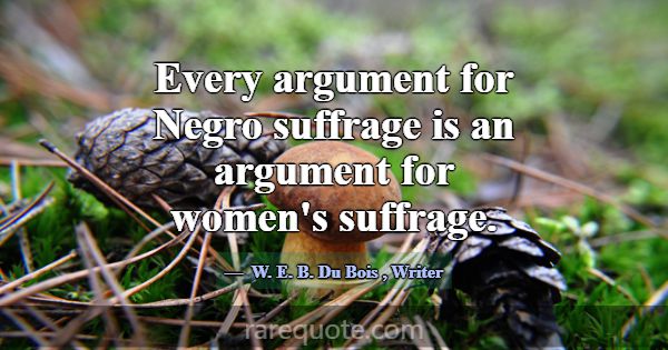 Every argument for Negro suffrage is an argument f... -W. E. B. Du Bois