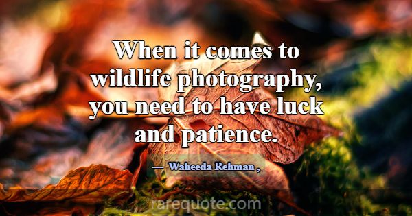 When it comes to wildlife photography, you need to... -Waheeda Rehman
