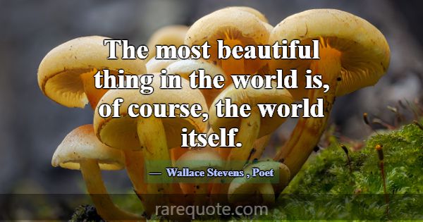 The most beautiful thing in the world is, of cours... -Wallace Stevens