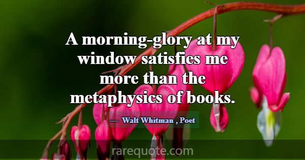 A morning-glory at my window satisfies me more tha... -Walt Whitman