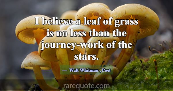 I believe a leaf of grass is no less than the jour... -Walt Whitman