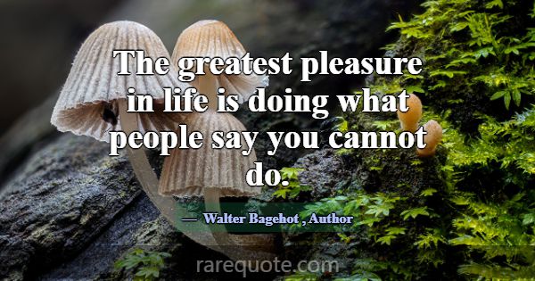 The greatest pleasure in life is doing what people... -Walter Bagehot