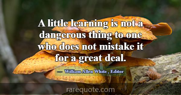 A little learning is not a dangerous thing to one ... -William Allen White